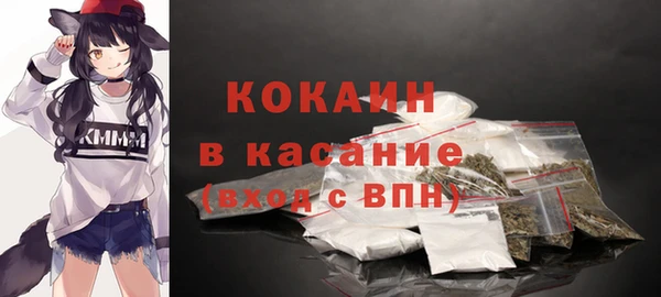 крисы Баксан