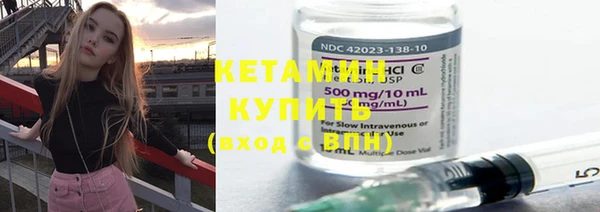 крисы Баксан