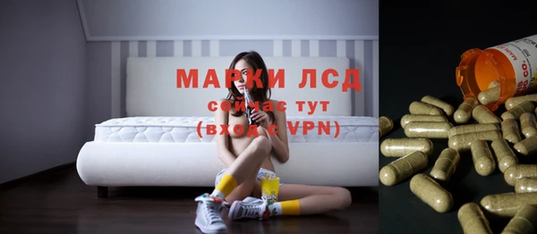 ПСИЛОЦИБИНОВЫЕ ГРИБЫ Нея