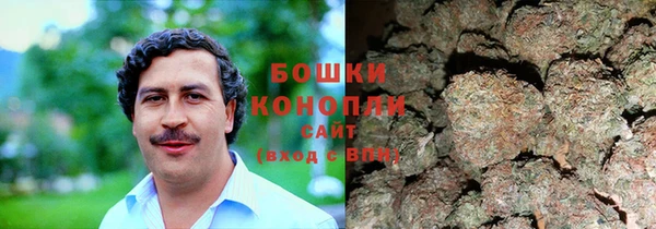 крисы Баксан