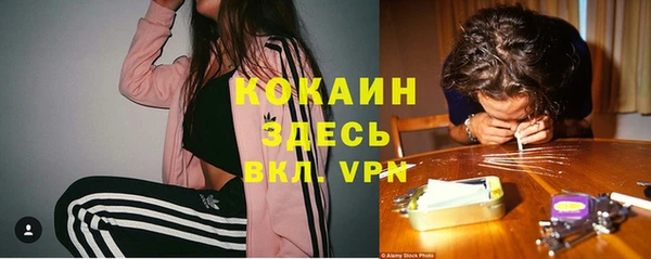 крисы Баксан