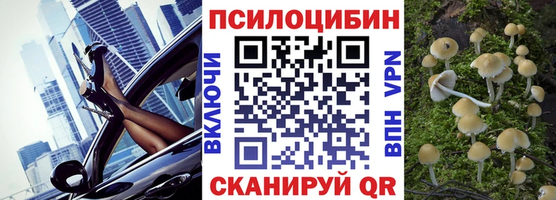 Псилоцибиновые грибы GOLDEN TEACHER  мориарти клад  Белокуриха 