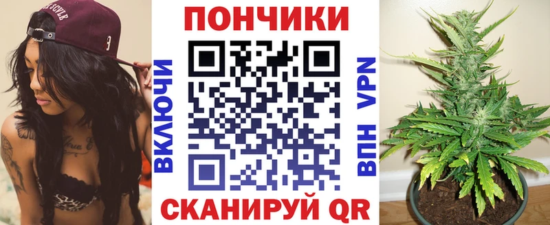 Конопля семена  купить наркотики цена  Белокуриха 